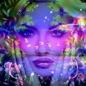 Meet your Posher, Kimber